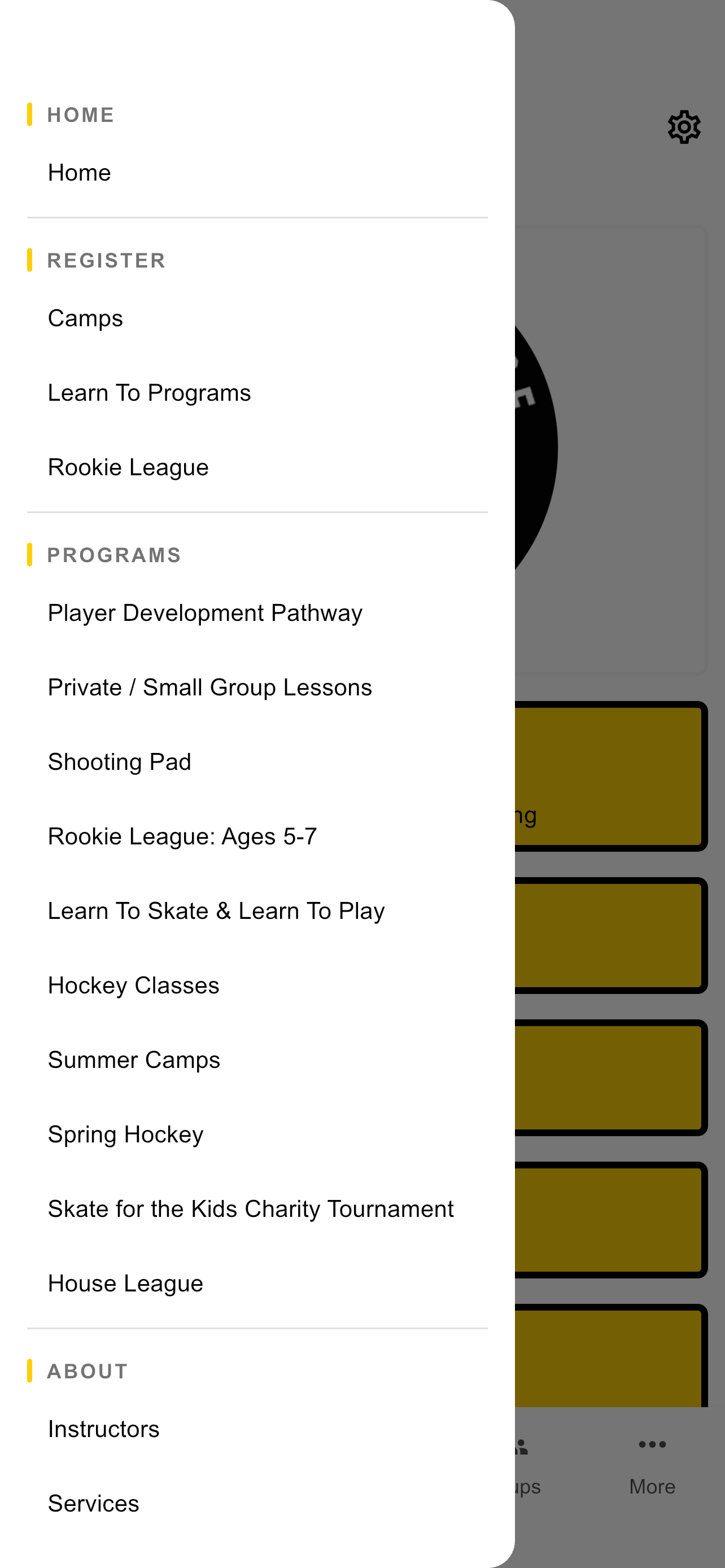 Golden Glide Hockey screenshot 3