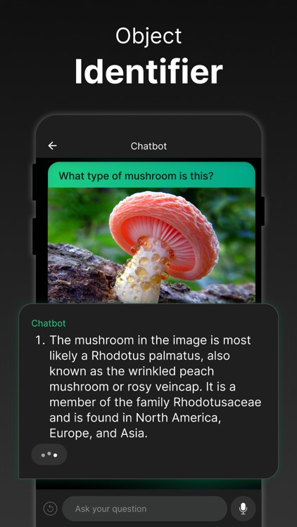 AI Chatbot 4 - Chat with AI screenshot-3