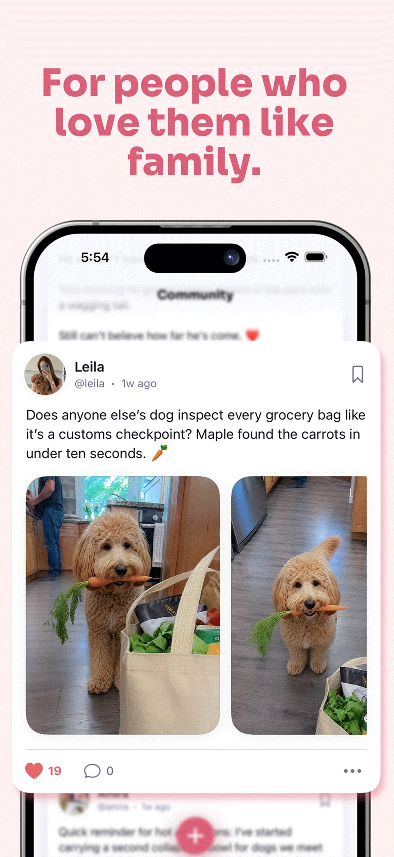 Screenshot 8 of Pet Health Tracker: Petive