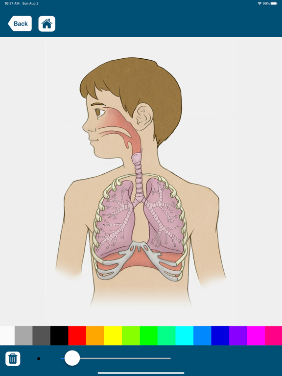Screenshot #6 pour Simply Sayin' Medical Jargon