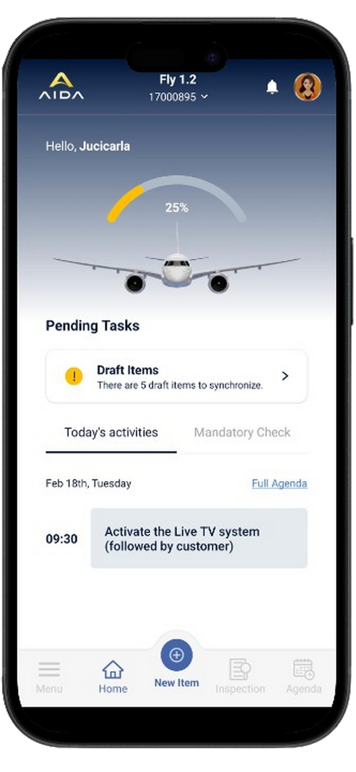 AIDA Embraer screenshot 5