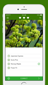 Trees PRO - Field Guide screenshot