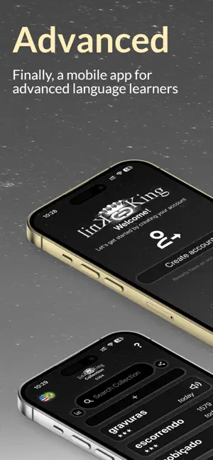 Link-King screenshot 1