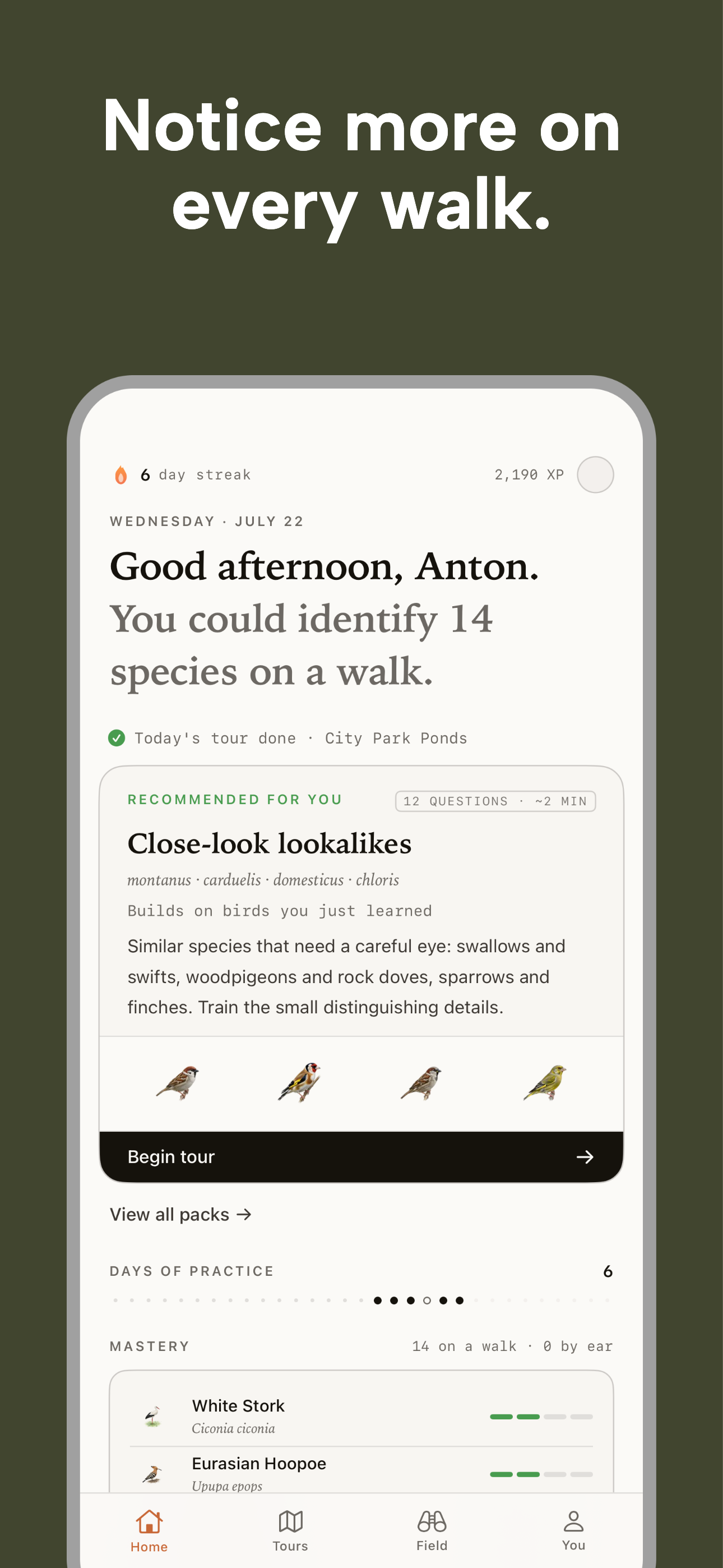 Nestling - Learn Birdwatching screenshot 8
