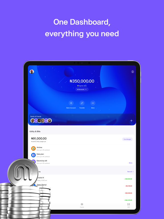 MonieBee iPad screenshot 1 - Finance app