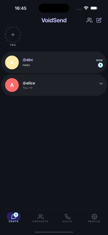 VoidSend iPhone screenshot