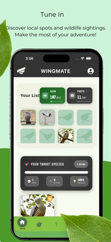 Wingmate Birds Screenshot 2 of 8