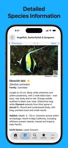 Galápagos Marine Life screenshot