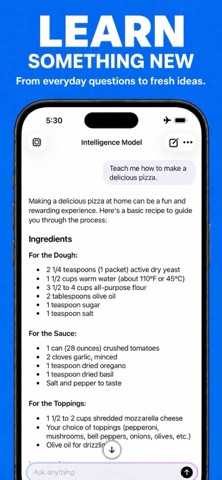Local LLM - Offline AI Screenshot 3 of 3