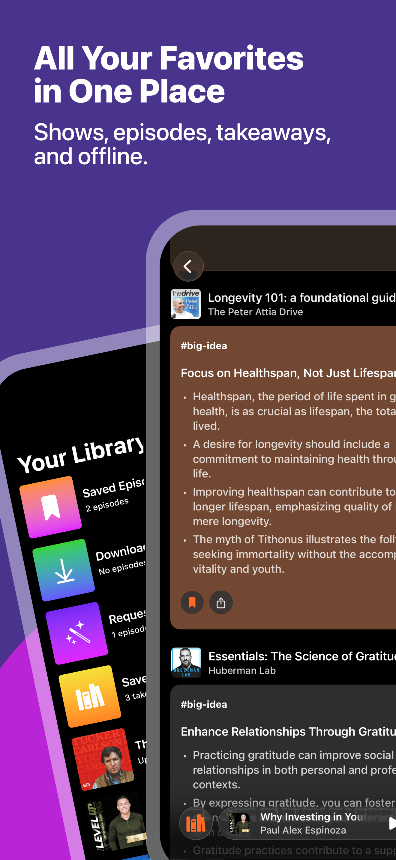 AI Podcast Notes - Skimr screenshot 6