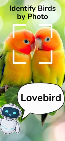 Bird Identifier: Photo AI screenshot