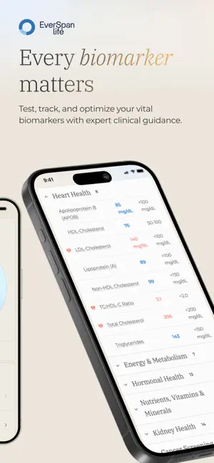 EverSpan Life screenshot 2