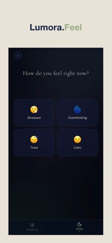 Lumora Mind Screenshot 3 of 3