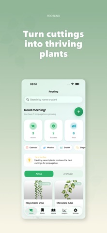 Rootling: Plant Propagation Screenshot 1 of 8
