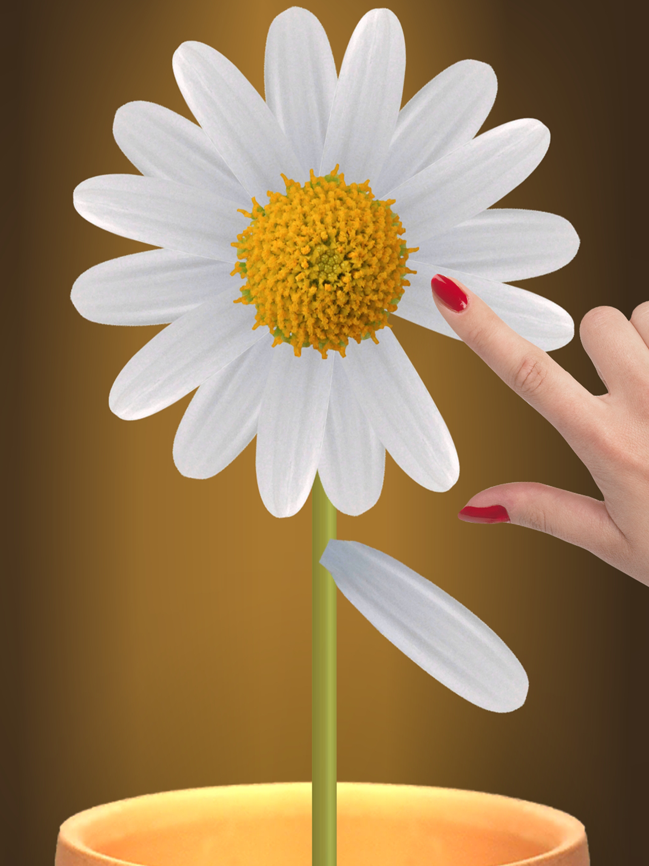 Antistress Relax Toys: Pop It