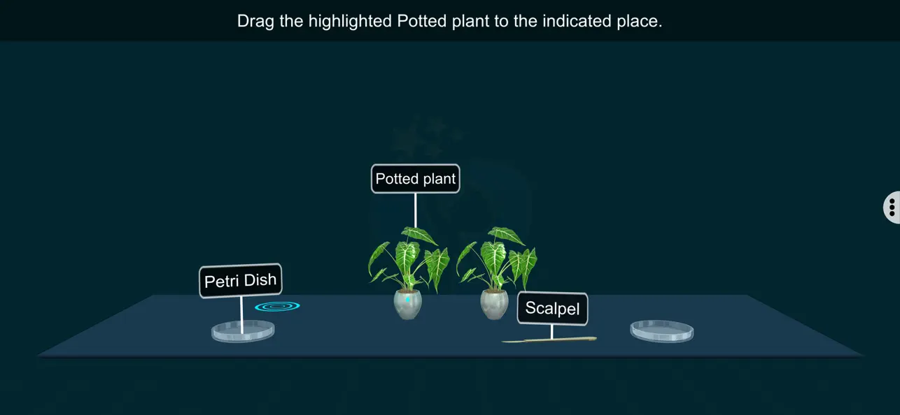 Screenshot #2 pour Leaf Starch Test - EduTech Era