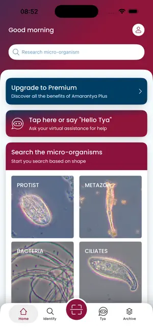 Amarantya screenshot 1