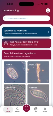 Amarantya Screenshot 1 of 3