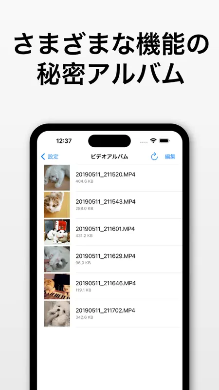 ブラックビデオ (BlackVideo) screenshot 4 of 5