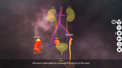 Screenshot #3 pour Urinary System Physiology