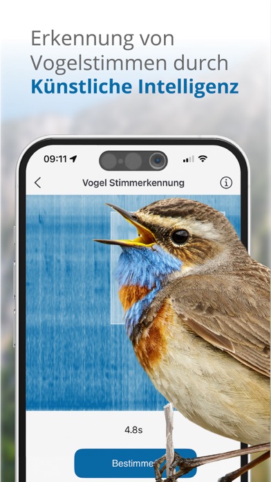 Vögel in Österreich Screenshot