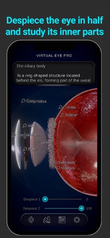 Virtual Eye Pro screenshot