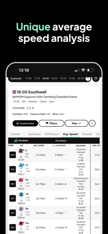The Horse's Mouth screenshot