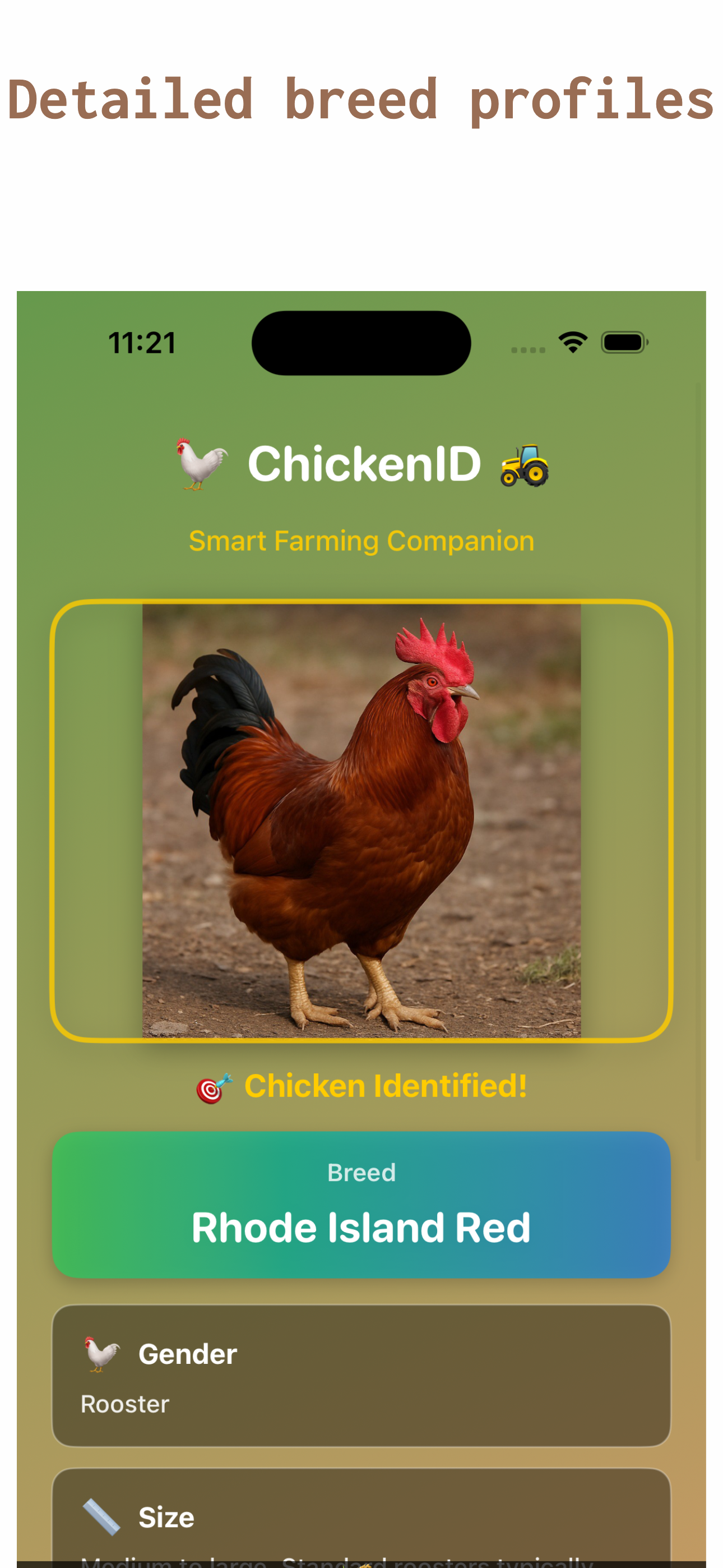 Chicken Identifier : ChickenID