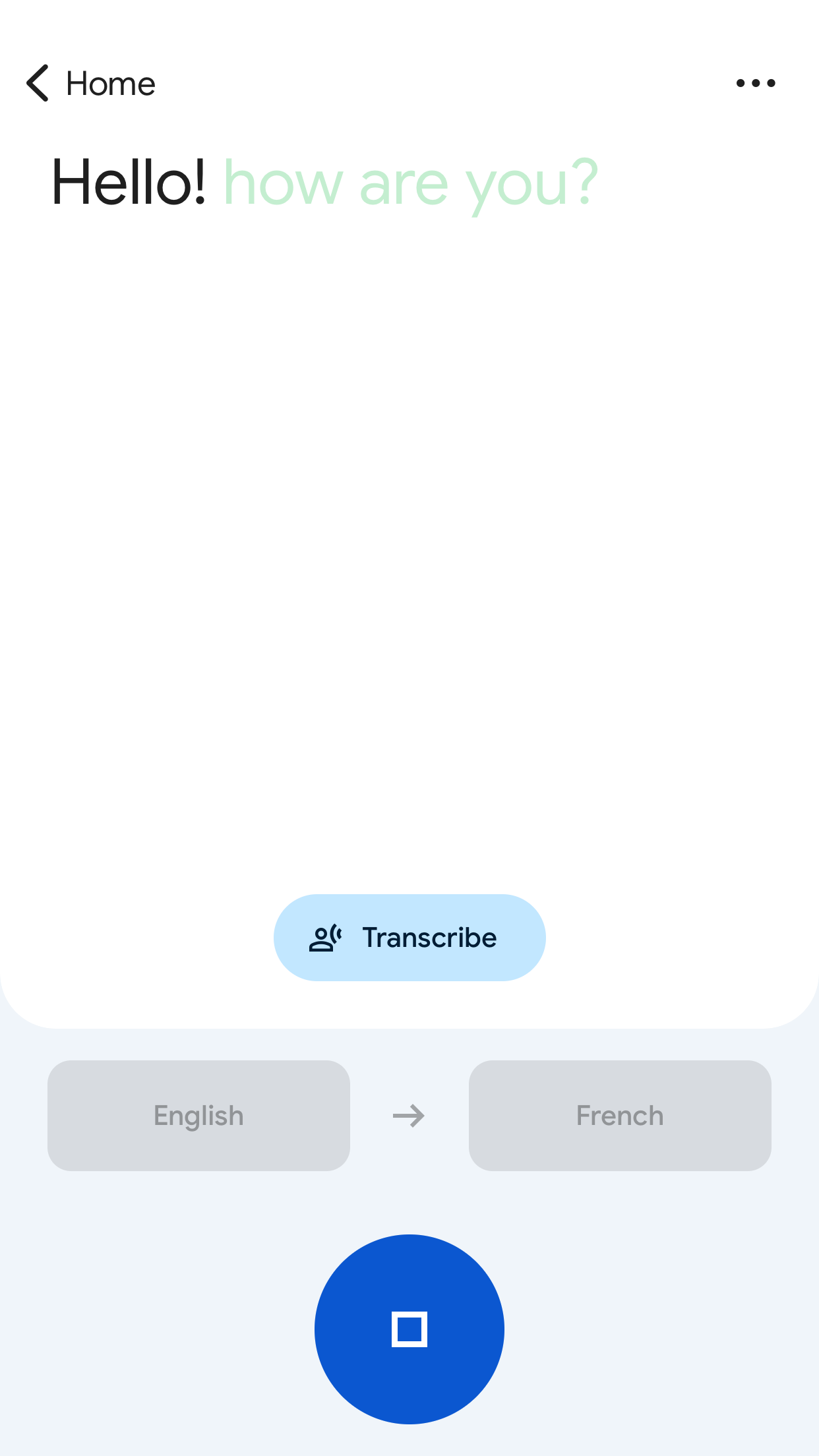Google Translate screenshot 2