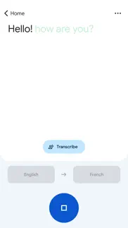 google translate not working image-2