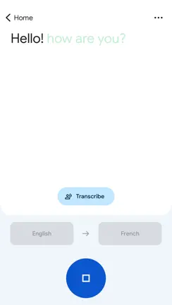 Google Translate iPhone image 2