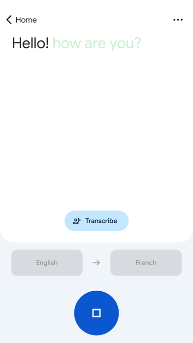 Google Translate Screenshot