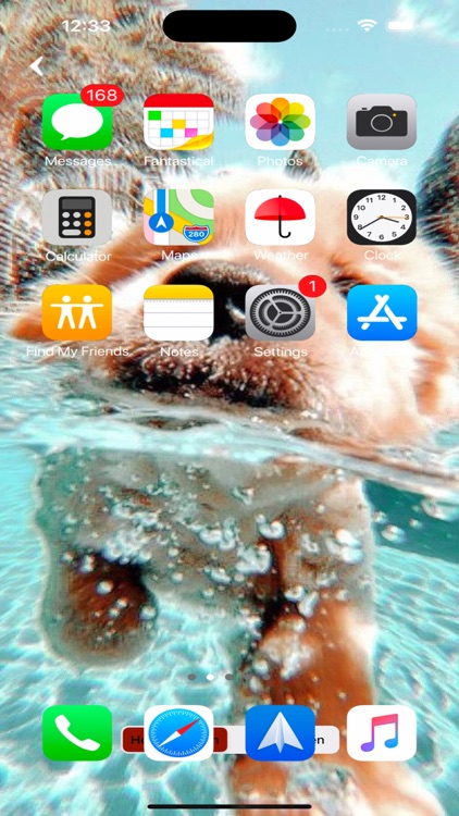 Preppy Dogs Wallpapers 4k