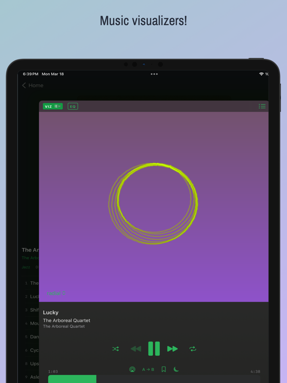 Muziqi - Pro Audio Player iPad screenshot 5 - Music app