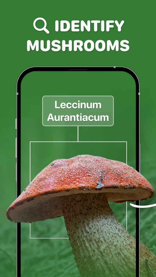 #1. Mushroom ID: Identifier finder (iOS) 由: Klimin Marketing SpA