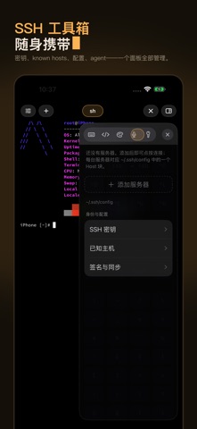 ViSH - AI Coding Terminal screenshot
