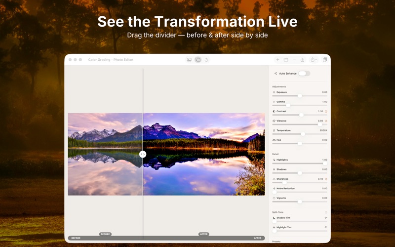 Single-window grading canvas and inspector