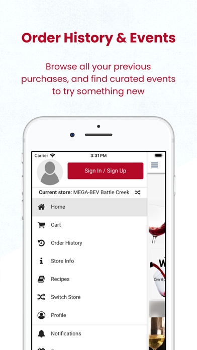 MEGA-BEV Screenshot