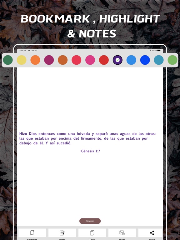 Screenshot #6 pour Bible Latinoamericana