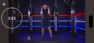 Counter Punch Boxing screenshot