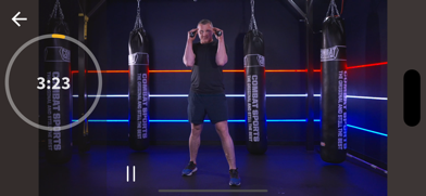 Counter Punch Boxing Screenshot 4 of 5