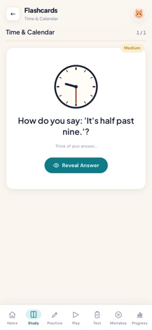 Ponte: Learn Portuguese screenshot 5