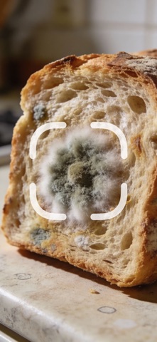 Identifier: Mold Screenshot 1 of 3
