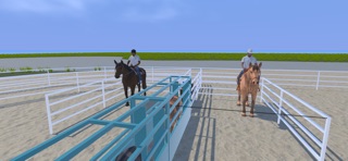 Rider Rodeo Screenshot 5 of 10