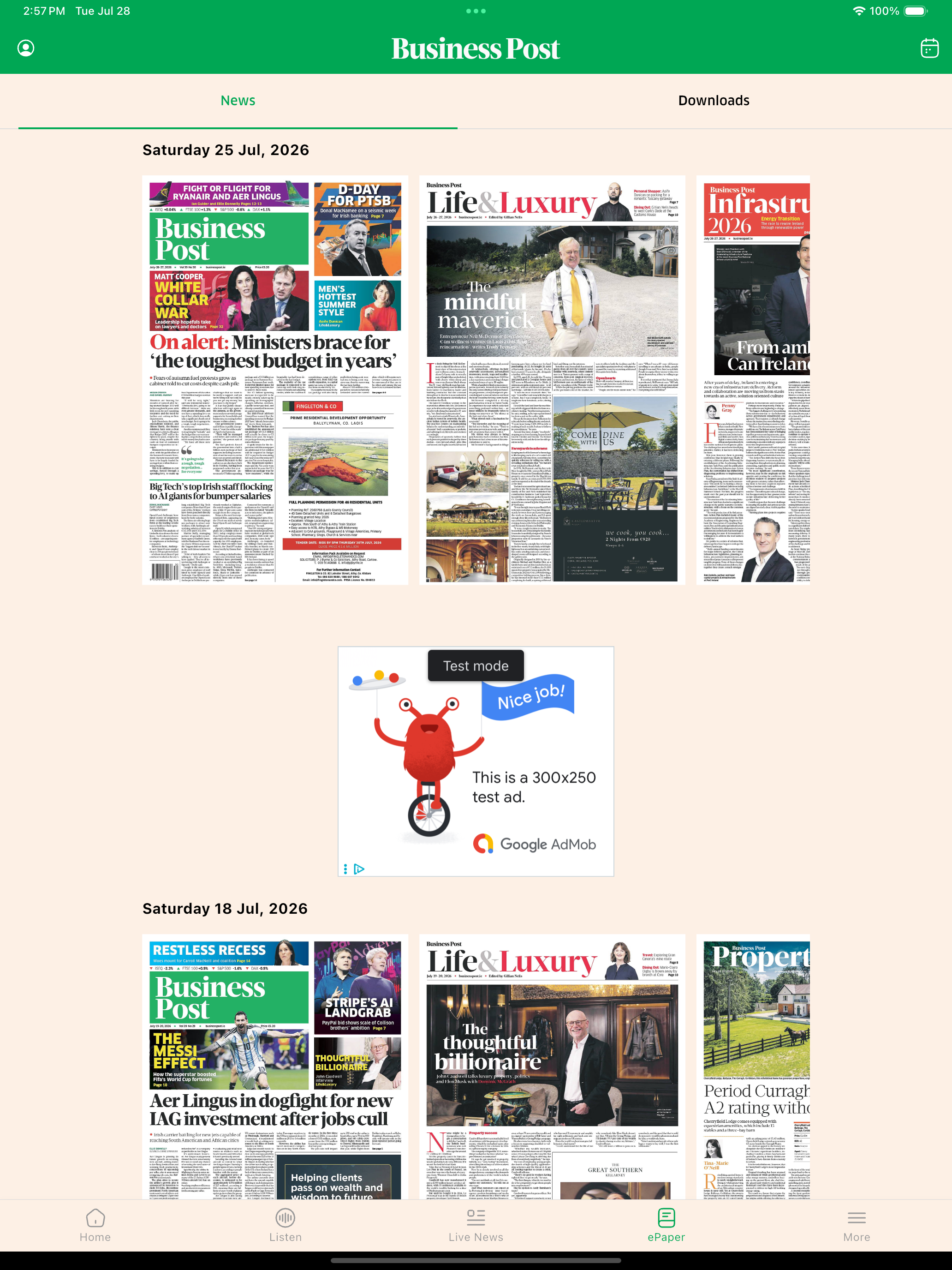 The Business Post screenshot 10
