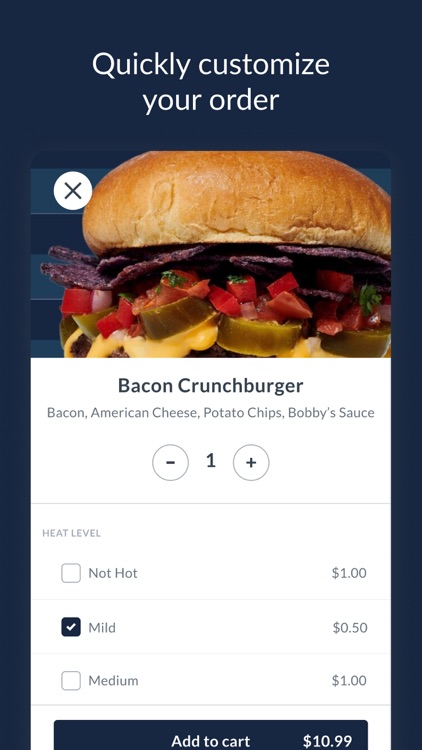 Bobby's Burgers by Bobby Flay