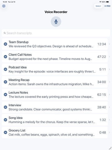 Voice Recorder: Transcribe iPad screenshot