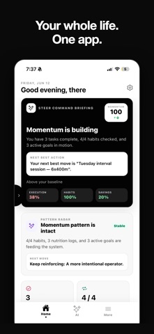 Steer: AI Life Dashboard Screenshot 1 of 7