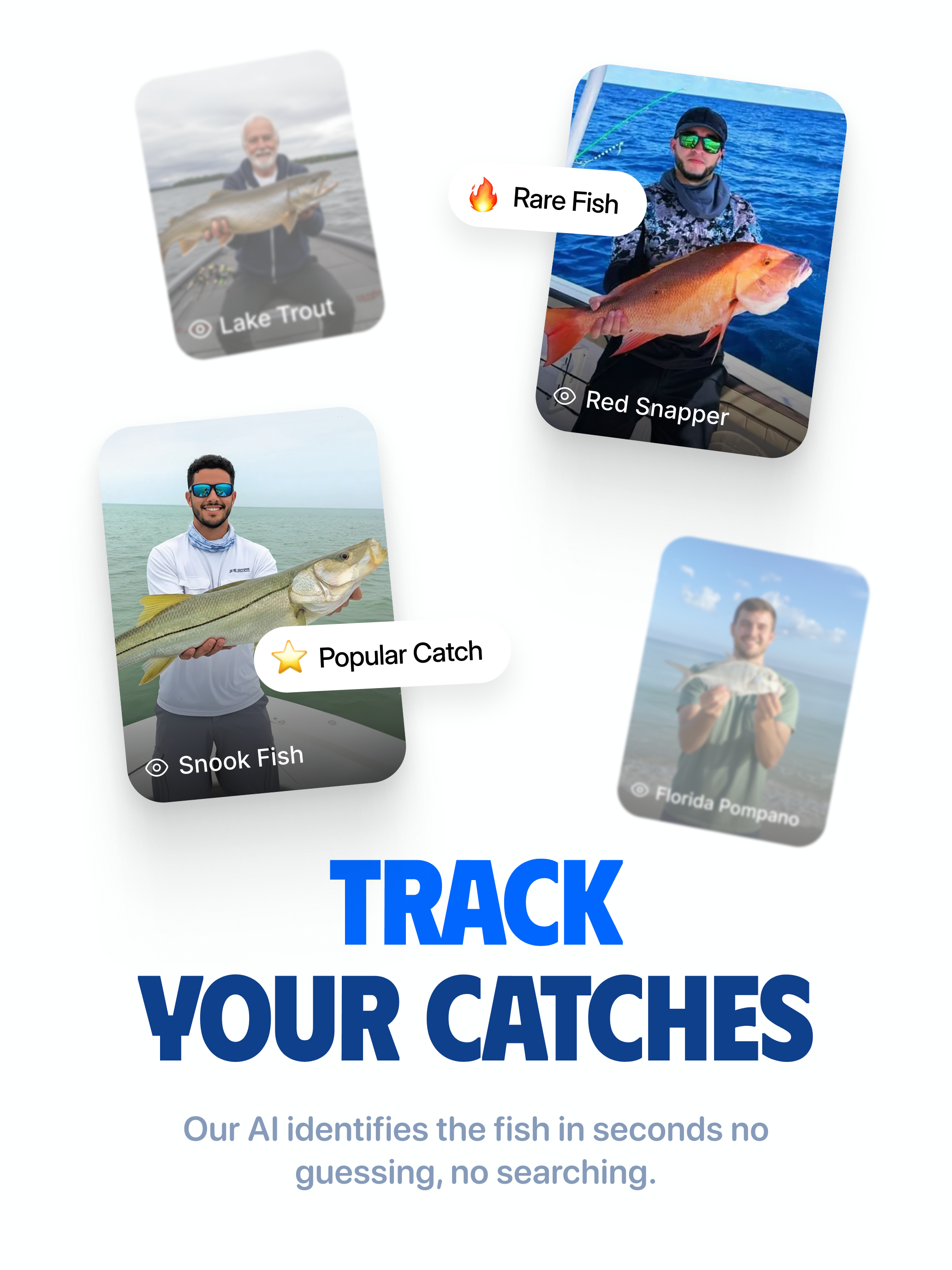FishIDs: Identify any fish