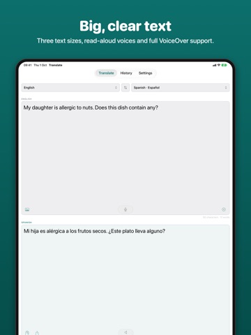 Translate — AI Translator iPad screenshot
